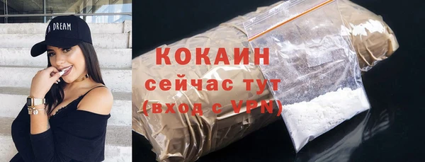 крисы Карпинск