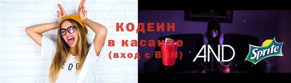 крисы Карпинск