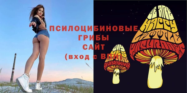 прущая мука Карталы